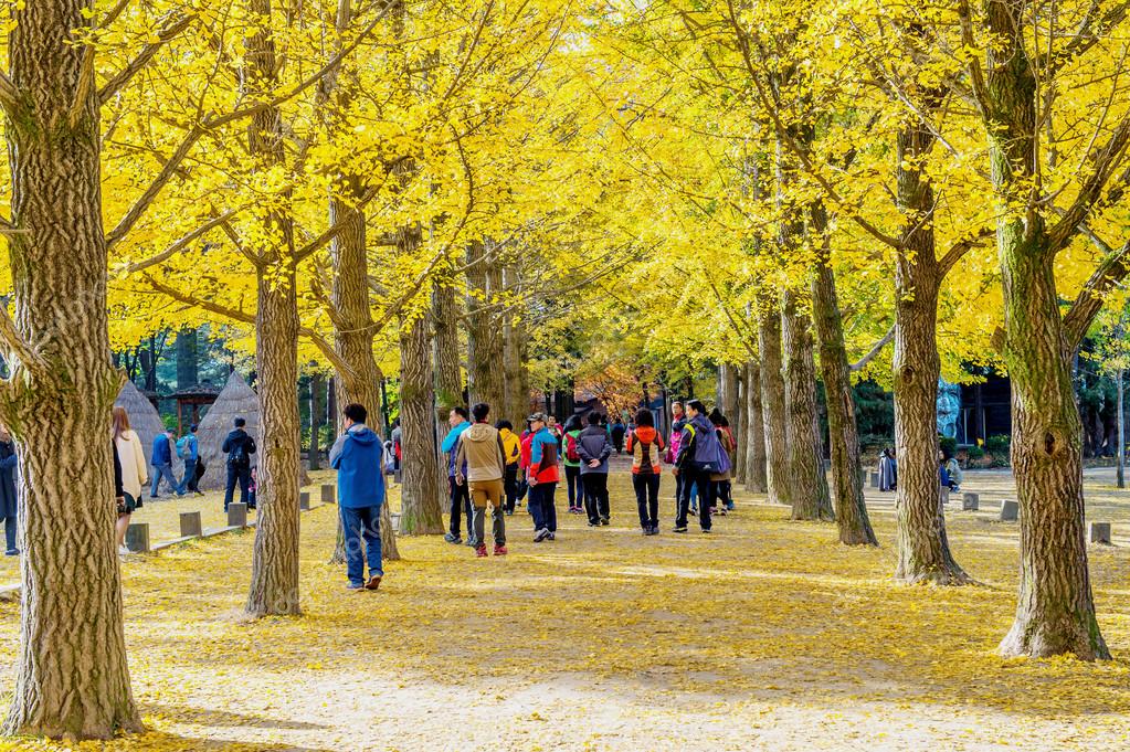 Du lịch Hàn Quốc mùa thu nên mang theo áo khoác